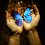 Life Coach Armed Forces Africa