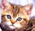North Shore Animal League
