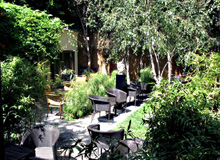 Tea Garden and Herbal Emporium