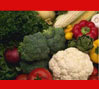 Genetically Modified Foods