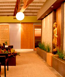 Dtox Day Spa