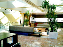 Hotel Zazo