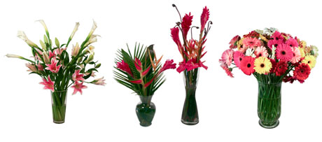 Go Green with EarthFlora.com – The Web’s Top Resource For Faux and Preserved Trees and Greenery
