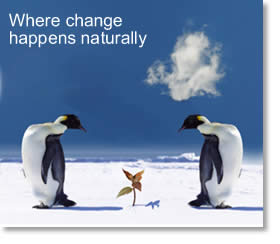 Claire Chabaud Los Angeles Conflict Resolution Coach
