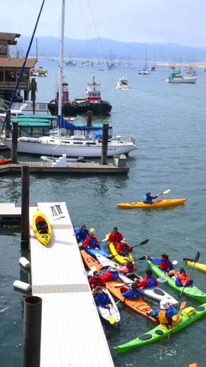 Adventure out in the bay on a kayak or electric boat