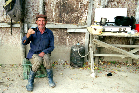 Primo Levi's Journey Primo Levi's Journey