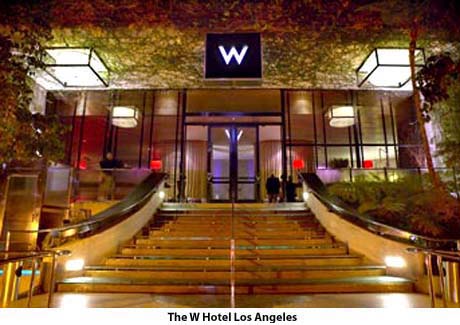 The W Hotel