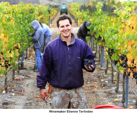 Winemaker Etienne Terlinden Winemaker Etienne Terlinden