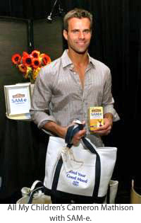 Cameron Mathison at 35th Official Emmy Gift Suite