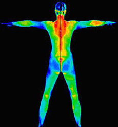 Thermal Body Imaging