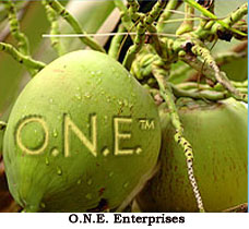 O.N.E. Enterprises