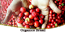 Organics Brasil