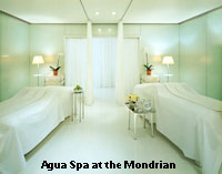 Agua Spa at the Mondrian