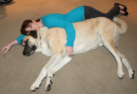 Actress Diane Neal supports the American Human Society, cuddling with retired animal actor and star of Cats & Dogs Oscar
