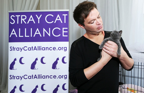 Bennett Righter with Stray Cat Alliance