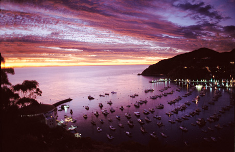 catalina island packages