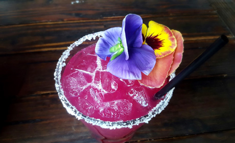 Something Pink, Código 1530 tequila cocktail