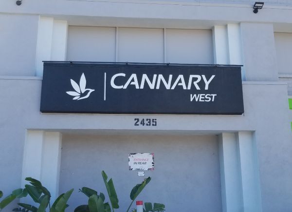 Higher Standards X Cannary West, Higher Standards x Cannary West