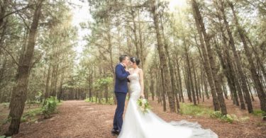 forest themed wedding