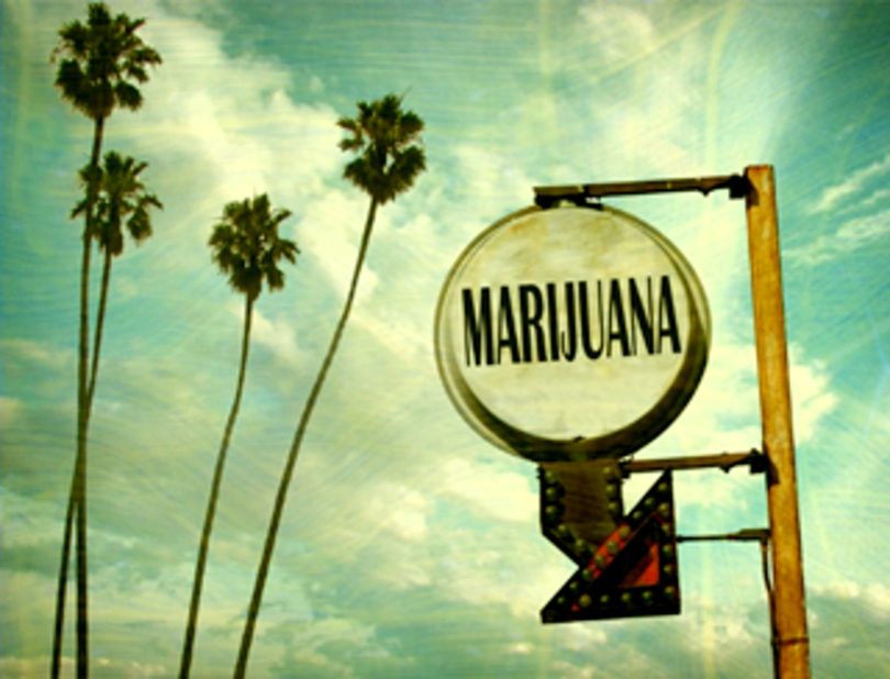 cannabis farms