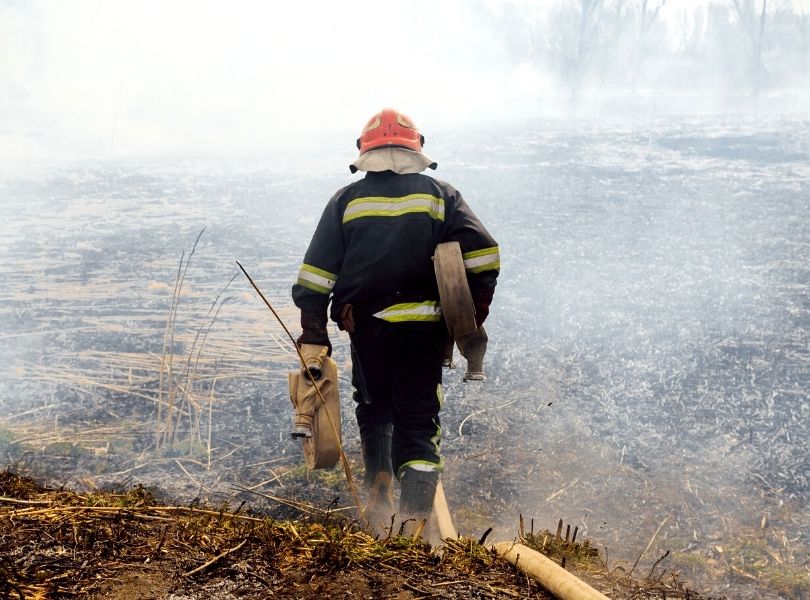 Long-Term Impacts of Wildfires on the Environment