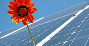 environmentally friendly business