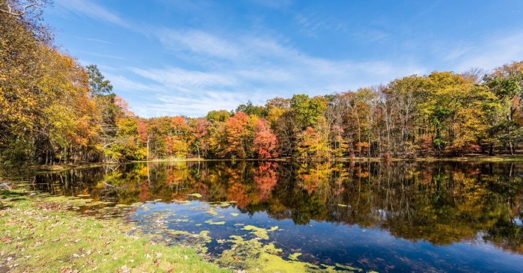 3 of the Best Vacations for Nature Lovers