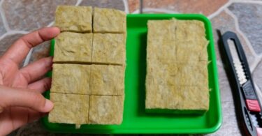 The Many Benefits of Rockwool for Hydroponic Gardens