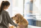 How To Discuss Euthanasia With Your Veterinary Clients