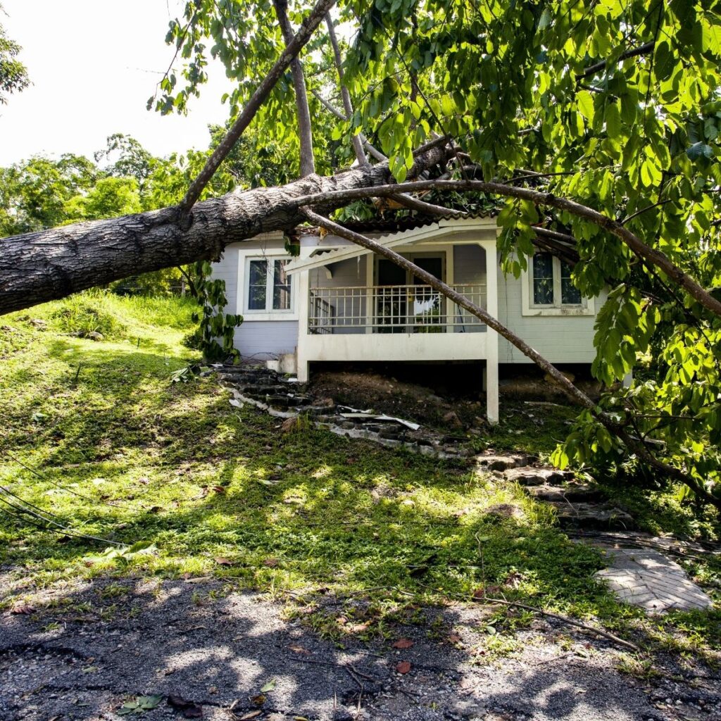 How To Protect Your Home Against Strong Winds