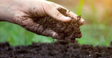 How Do You Know When Compost Is Finished?