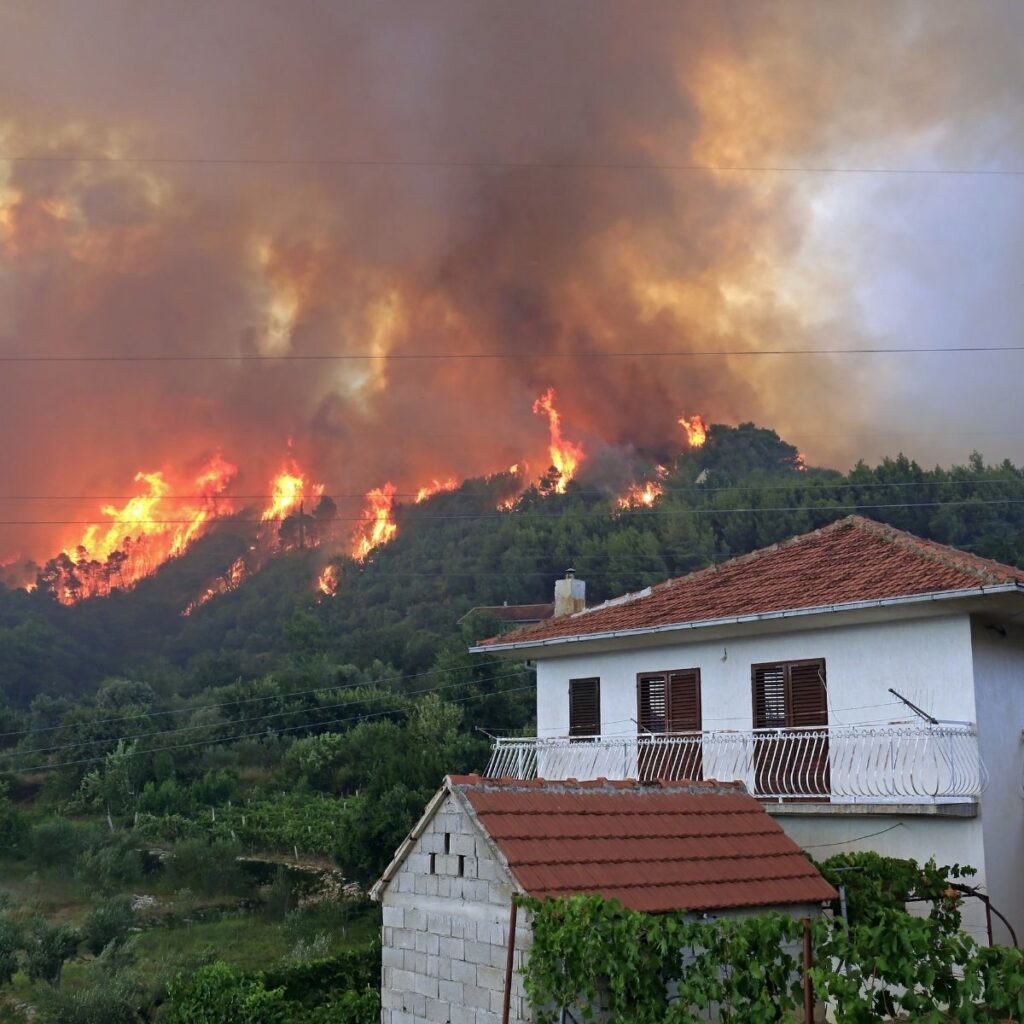 What Are Some of the Different Ways Wildfires Affect Humans?