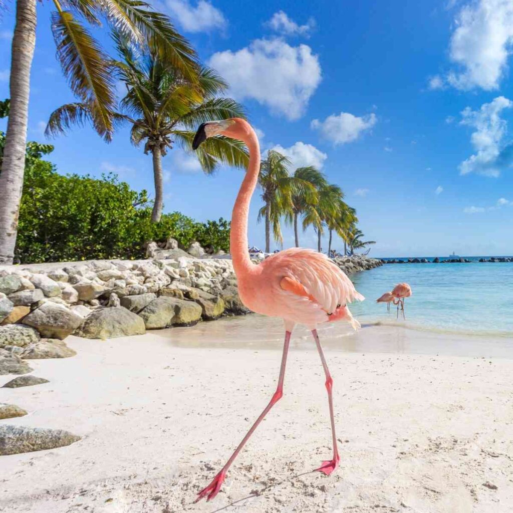 The Top 5 Caribbean Islands To Visit in 2022