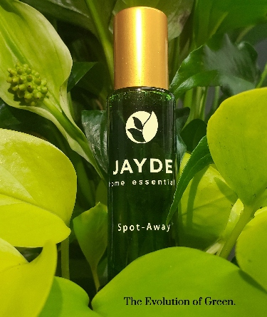 Jayde Home Essentials Spot Away