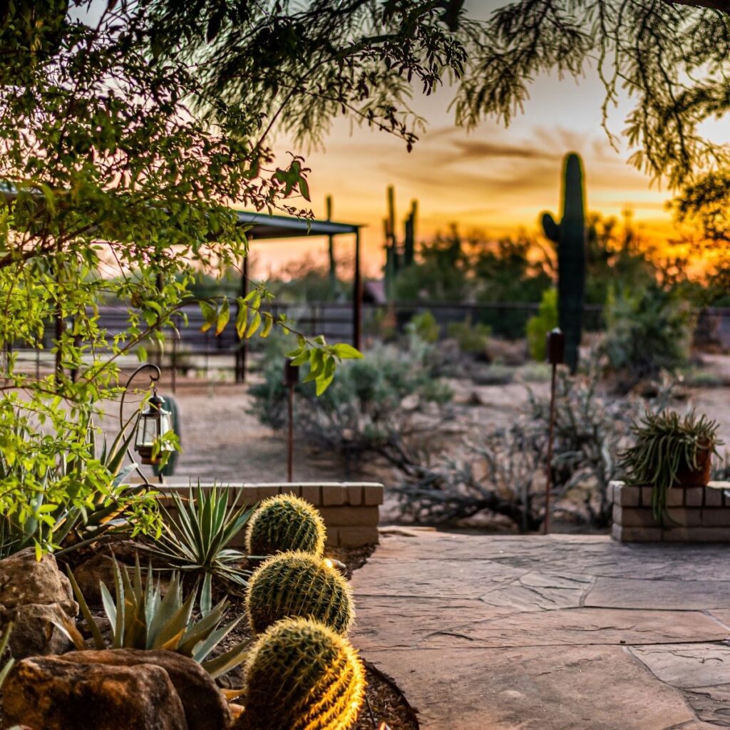 How To Landscape Your Yard in the Southwest