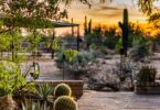 How To Landscape Your Yard in the Southwest