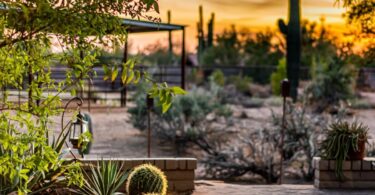 How To Landscape Your Yard in the Southwest