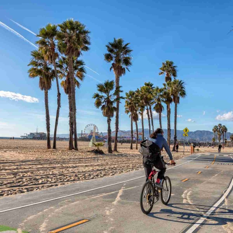 Exciting Activities To Do This Spring in LA