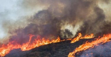 How To Create an Emergency Supply Kit for Wildfires