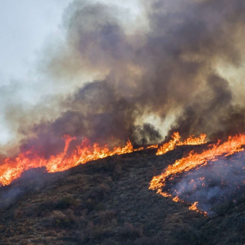 How To Create an Emergency Supply Kit for Wildfires