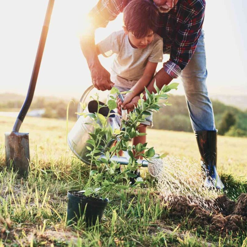 Essential Tips for Planting Fruit Trees in California LA's The Place