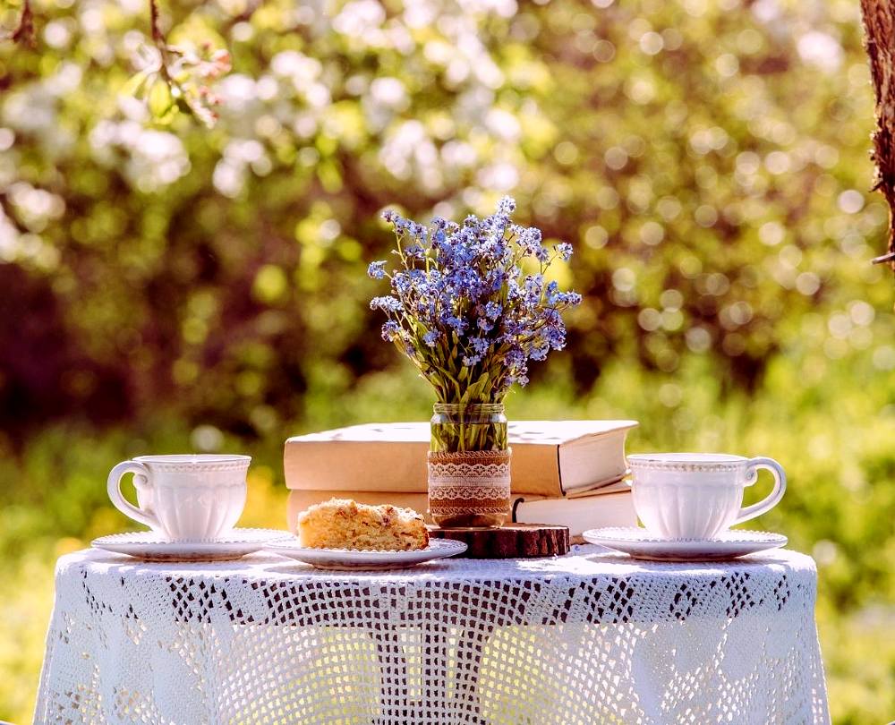 backyard book club