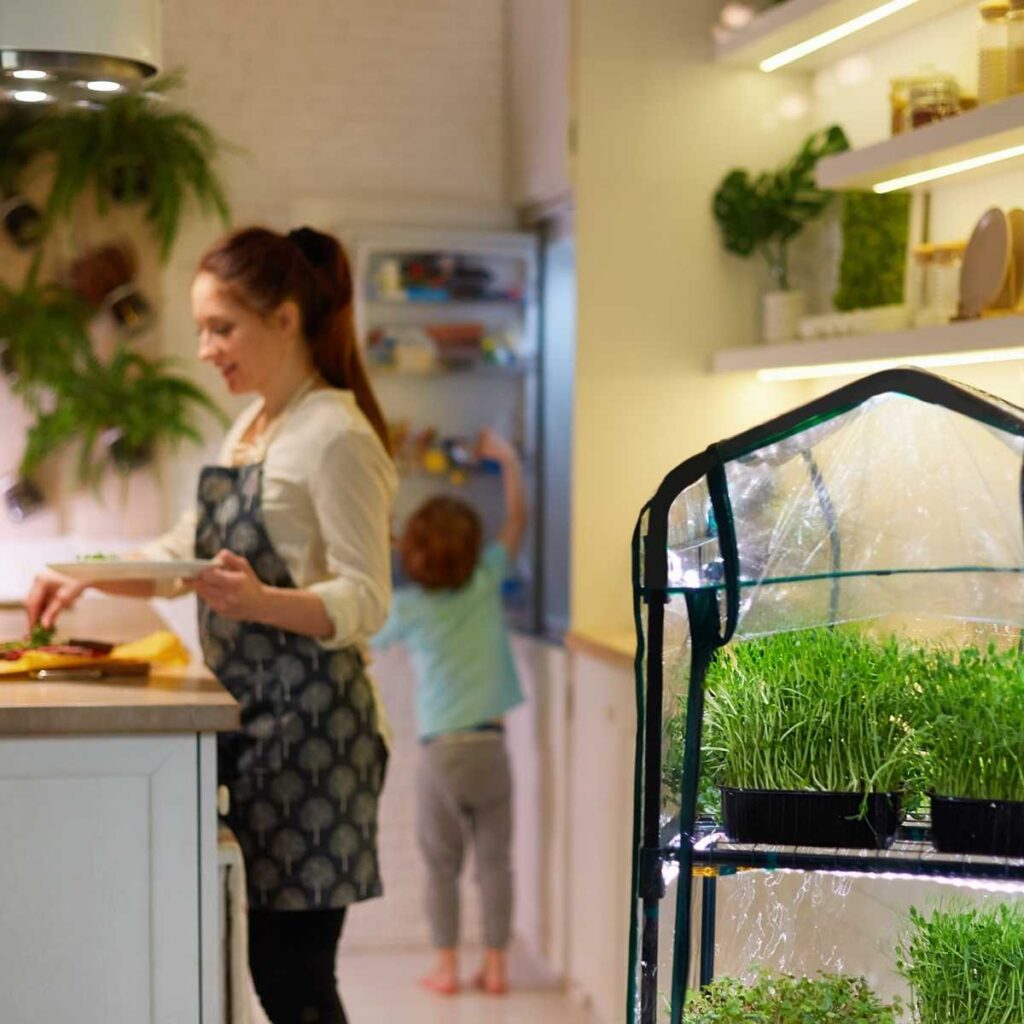 4 Tips for Starting a Garden in Your Apartment