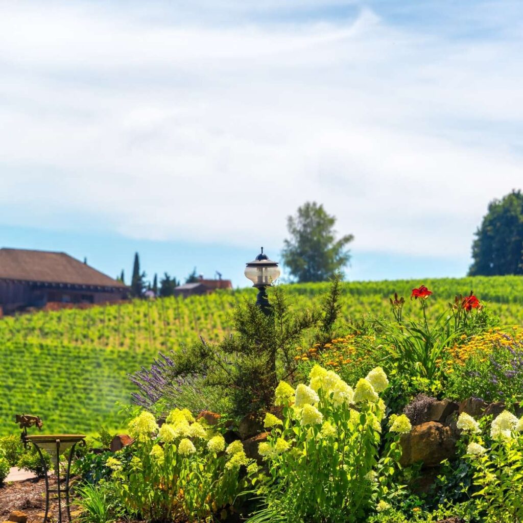 Top 4 Outdoor West Coast Weekend Getaways