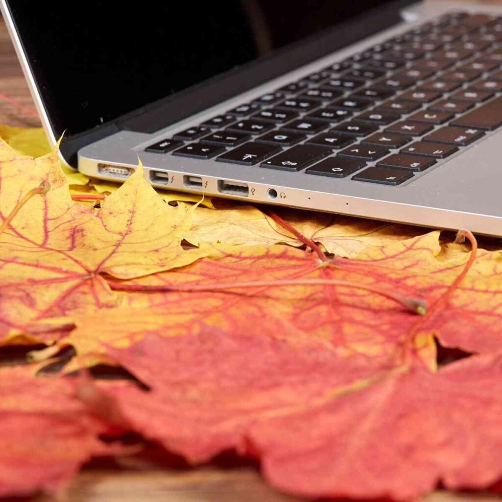 Creative Business Marketing Ideas for Fall
