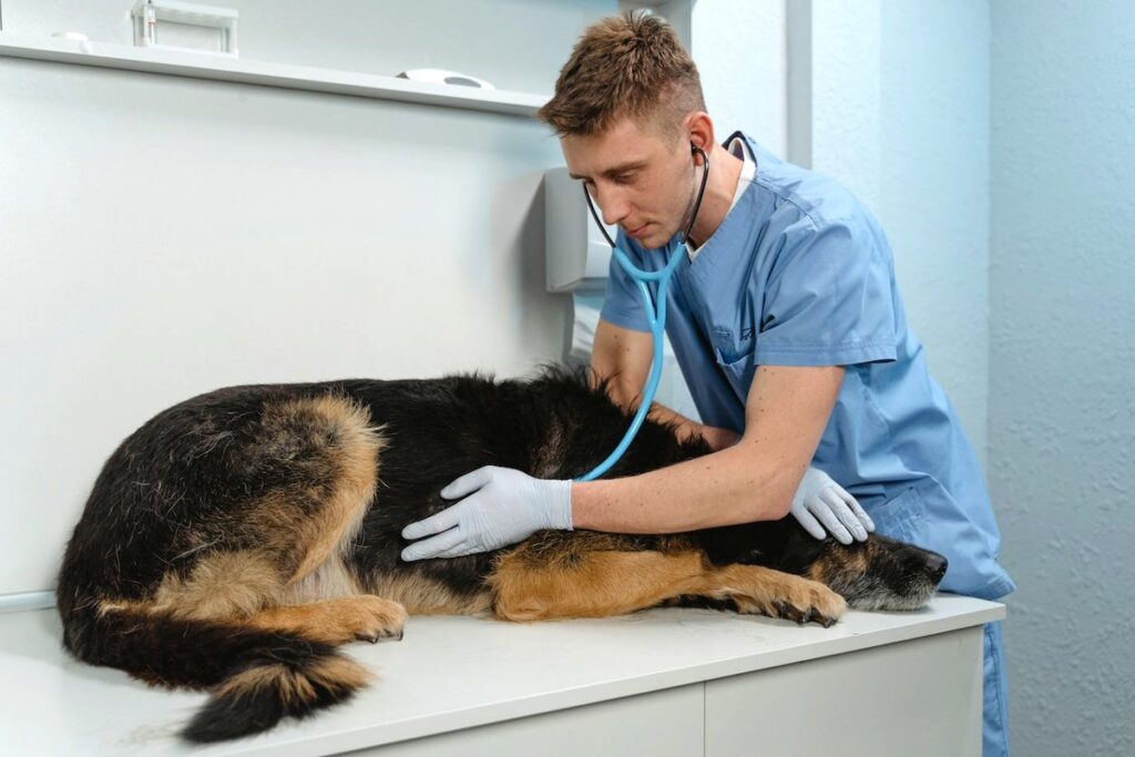 find veterinarians in LA