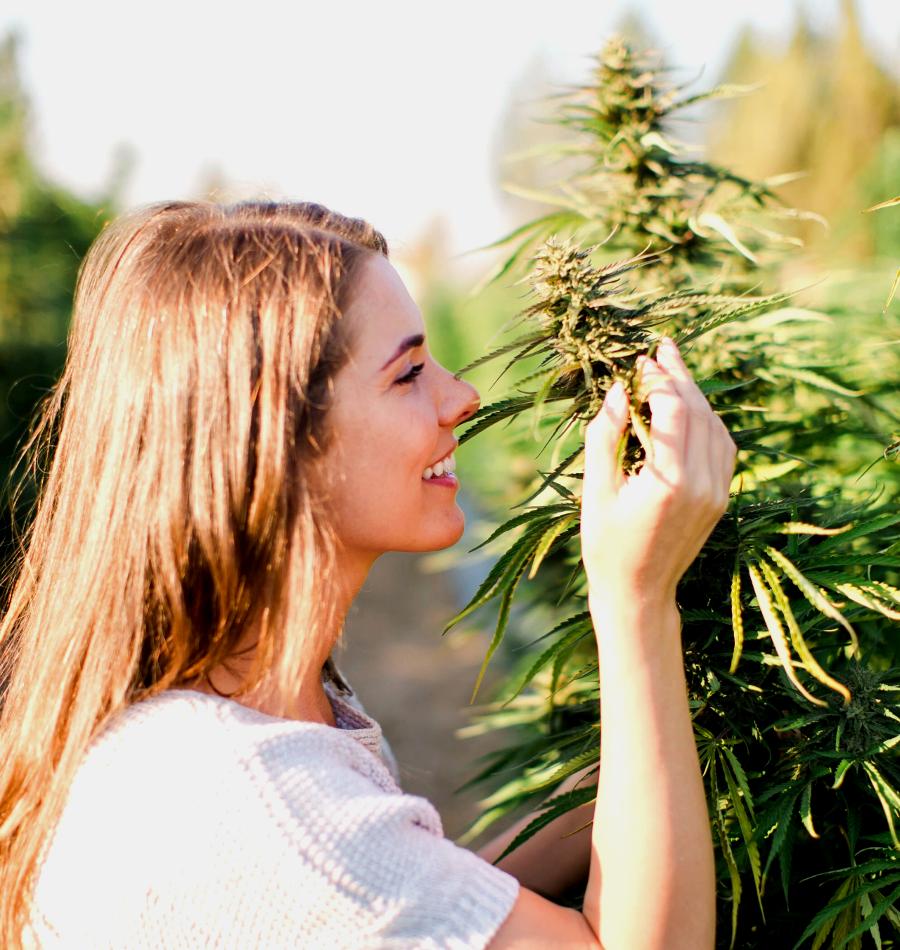 Nesa’s Beyond Organic CBDa Live Hemp Extract