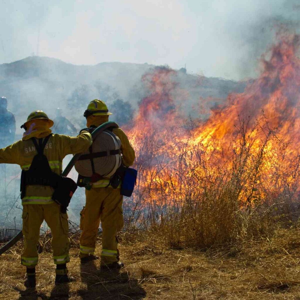 5 Interesting Facts About Wildland Firefighters