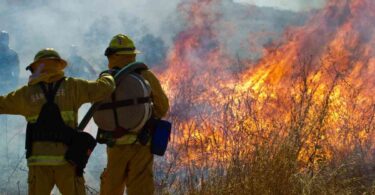 5 Interesting Facts About Wildland Firefighters