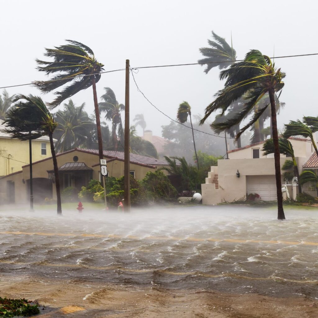 How To Ensure Your Community Bounces Back From Disaster